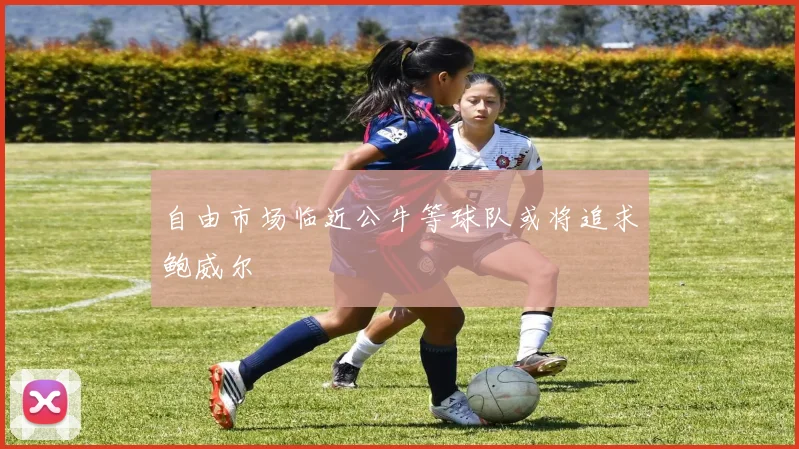 自由市场临近公牛等球队或将追求鲍威尔