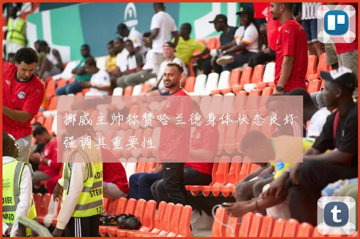 挪威主帅称赞哈兰德身体状态良好强调其重要性