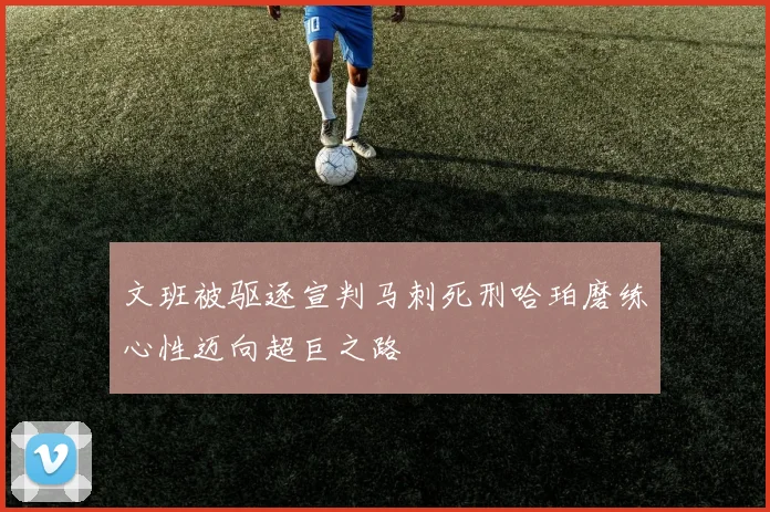 文班被驱逐宣判马刺死刑哈珀磨练心性迈向超巨之路